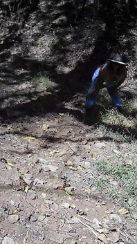 Madrasta da montanha faz uma caminhada pela natureza