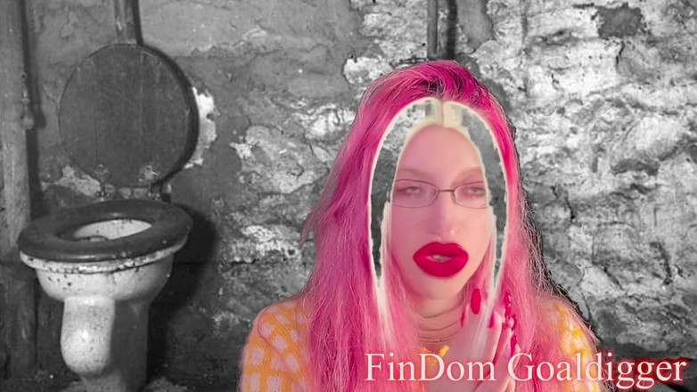 FinDom Goaldigger: Золота трансформація туалету