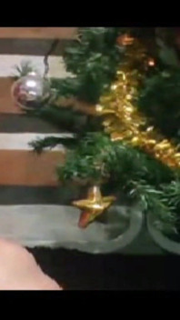 Mãe Natal Monta a Sua Arvore Natal 2025