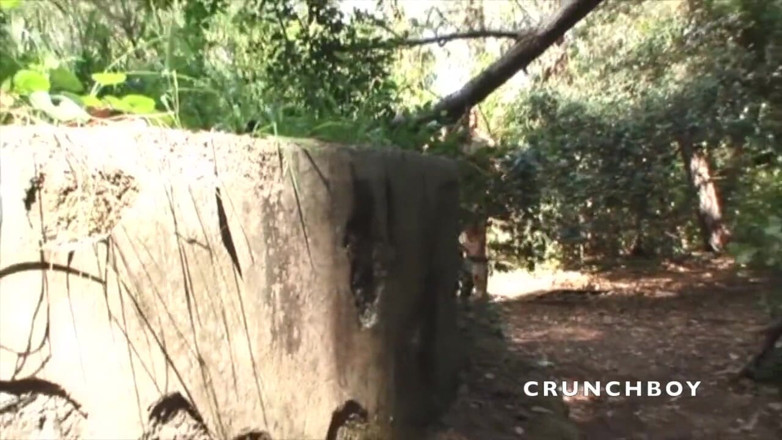 Crunch Boy: seks w exhib wood cruising