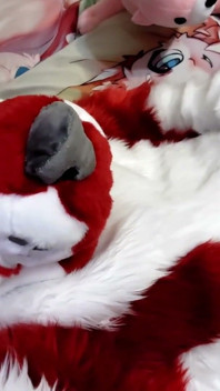 Honění a ukazování footpaws v kombinéze s celým tělem