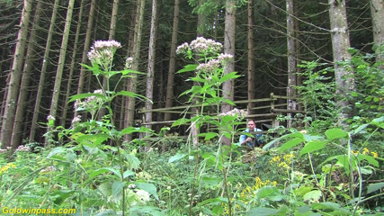 Goldwin pass: Гаряча шоколадна худа красуня Неллі Блек грубо трахається на відкритому повітрі в горах