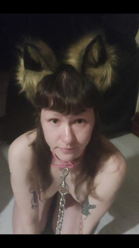 Im Your Pet