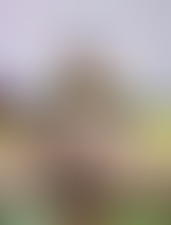 Locked due to age restriction