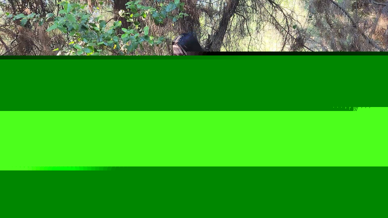 Riderqueen BBW Step Mom Latina Ebony: Riderqueen Alone, Outdoors, Fan Videos