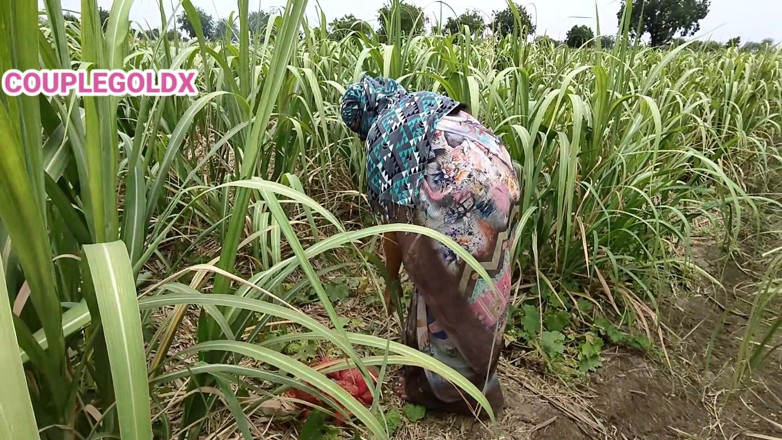 Sexy Komal: Follada komal por Malik mientras trabaja en el campo