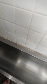 I Almost Got Caught Peeing in the Public Bathroom