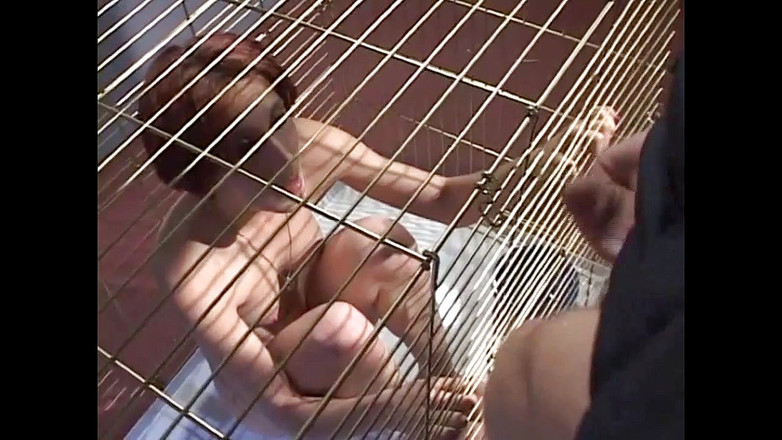 American Idol X: 荡妇女孩需要在笼子里吮吸大鸡巴