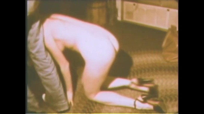 Vintage Usa: Kızgınlıktaki köpek