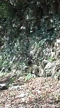 Hottest Outdoor Doggy Fuck for a Slutty Blonde Italian Cougar Big Ass