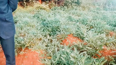 Judith xxx: Video terbaruku