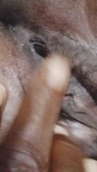 Sweet Ebony Pussy