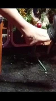 Madre Natale la Dominatrice - 2