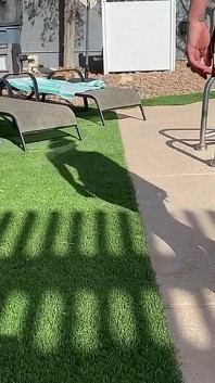 Pool Video