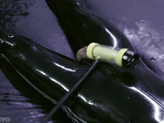 橡胶提取庇护