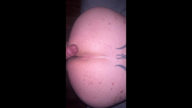 Trans and Co: Babi babi gemuk banci suka mendapatkan pantatnya kacau