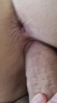 POV Nora Fox Zentai Fantasy Grey