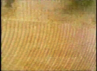 VOP Porno: Блондинки-тінки трахають пальцями кицьки одна одної на відкритому повітрі