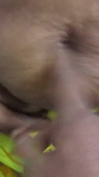 Un couple indien sexy s'amuse avant de baiser