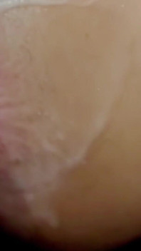 Roosa