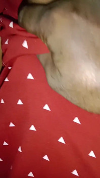 My Wife Prema Showed Me Her Breasts and Fingered Her Pussy.