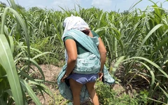 Komal Fucked Outdoor Sex