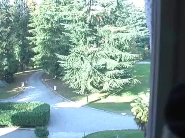 Vicky Vette: Klasyczny Vicky Vette Kogut dokucza w Europie