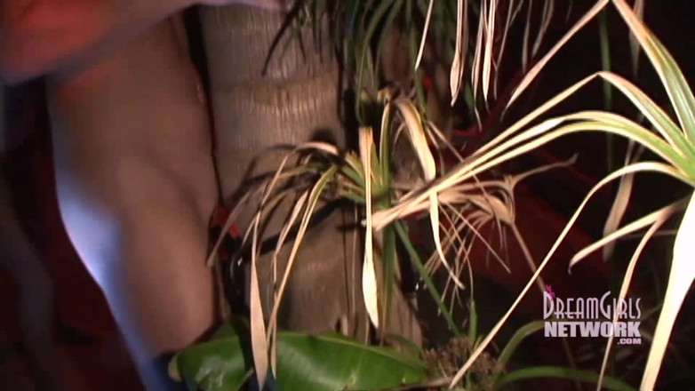 Dream Girls: Hot chick fucks a tree mounted dildo