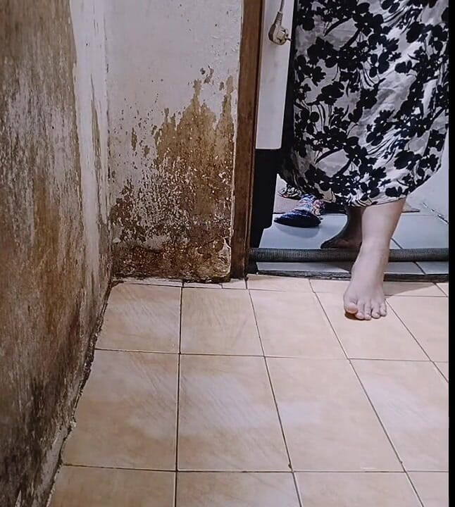 Jane maye: Naughty Wife Wants to in Public Toilet
