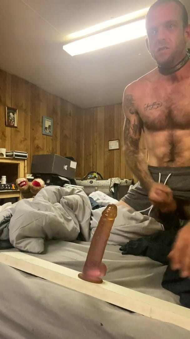 Slaveboy: Deixe jogar