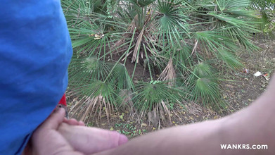 Wankrs: Polla extraña