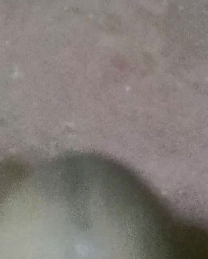 LegalVector8: インディアン・コック