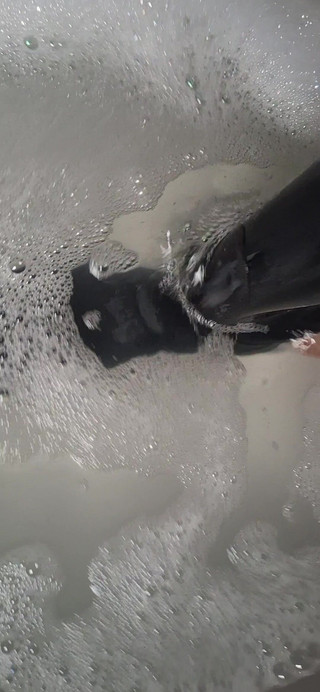 Dreamofevolution: Dnes je první den koupání