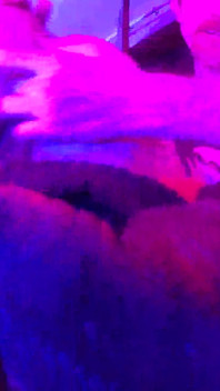 Addy haze ha tempo di giocare con il suo scopamico alex - dietro il divertimento con le dita