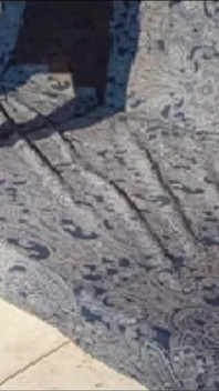 The Feet of Rita Perutzi 23