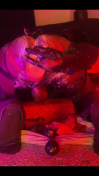 Chastity Pig Dildo in Hole