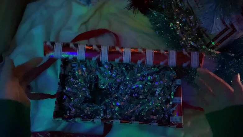 AmyHi: Navidad con mi pervertido hermanastra