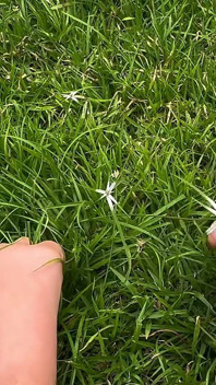 Ti lascio vedere i miei piedi che sfregano e premono contro l'erba.