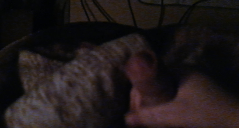 Horny Boy 18 year: Teenager Spritzt Ab