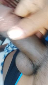 Penis