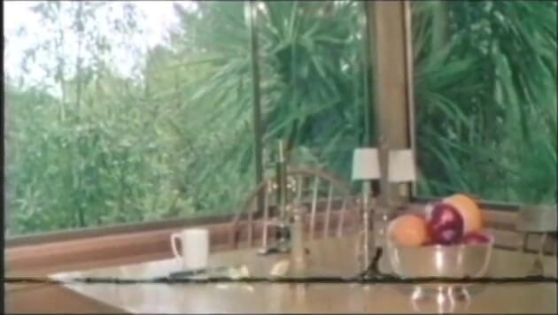 Vintage Usa: John Holmes... Pencinta Yang Sempurna... (video tidak mempunyai audio tetapi muzik)