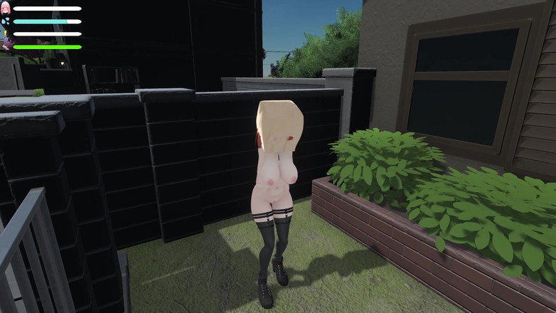 PornGameHunter: Complete Gameplay - Roxannes Exhibitionist, Part 1