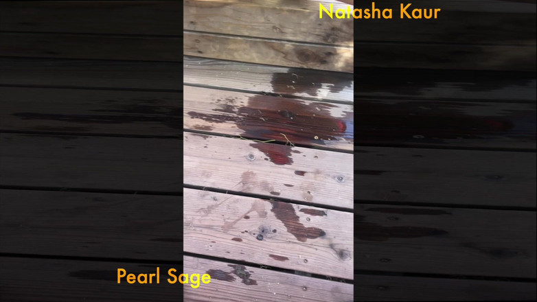 Natasha Kaur: Dikey işeme bakış açısı: kıllı amcıklarımıza işiyor ve orgazm