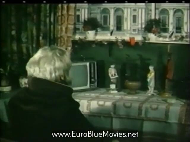 Euro Blue Movies: Der fickvoyeur 2 1993