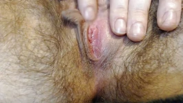 Memek berbulu basah dari dekat