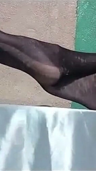 Kaki nilon 12