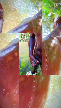 A Huge Dick Ready for Your Ass and Pussy