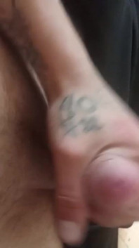 Penis