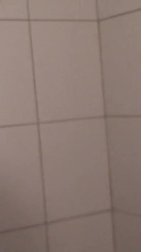 Toiletfuck After Party