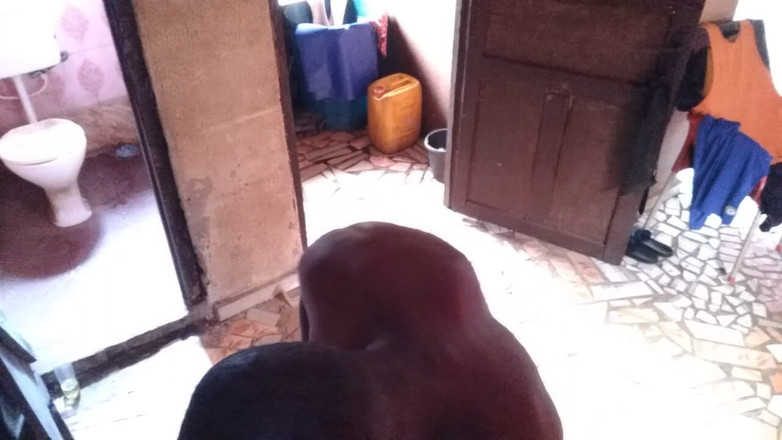 Moviesporn1: Daj swojemu kutasowi duży tyłek, którego nie usłyszała